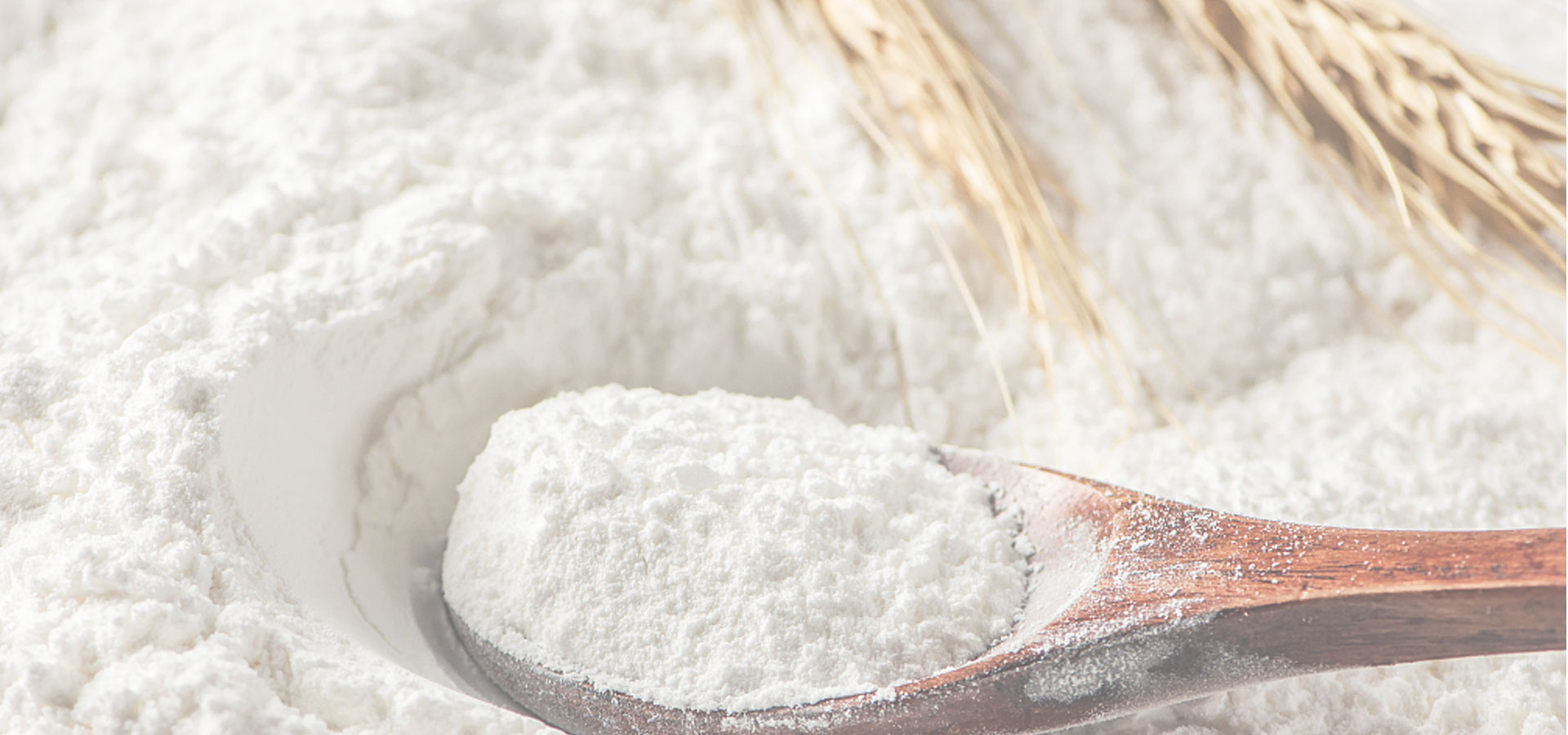 Tinh bột biến t&iacute;nh